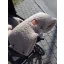 Infantilo teddy babakocsi kézmelegítő - barna