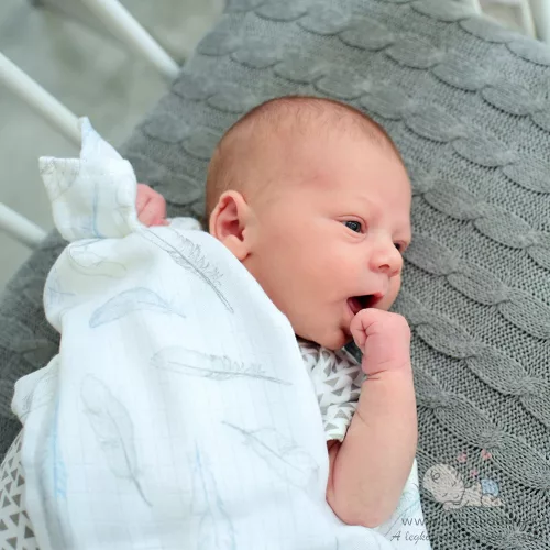 Deluxe bambusz pelenka - nyuszik